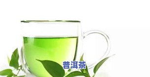 (搜索绿茶)探索绿茶软件园：发现创新科技的魅力，探寻未来世界的可能性