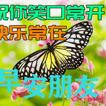 (万物之主怎么过)探索万物之上觉醒角色排行榜：揭示最强角色的神秘力量