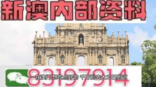 澳门正版精准免费大全凤凰网|解析时代背景下的资料解读_探险版6.229