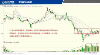 2024年天天开好彩资料|系统分析各种落实方法_启蒙版.5.149